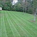 Lawn Maintenance & Care